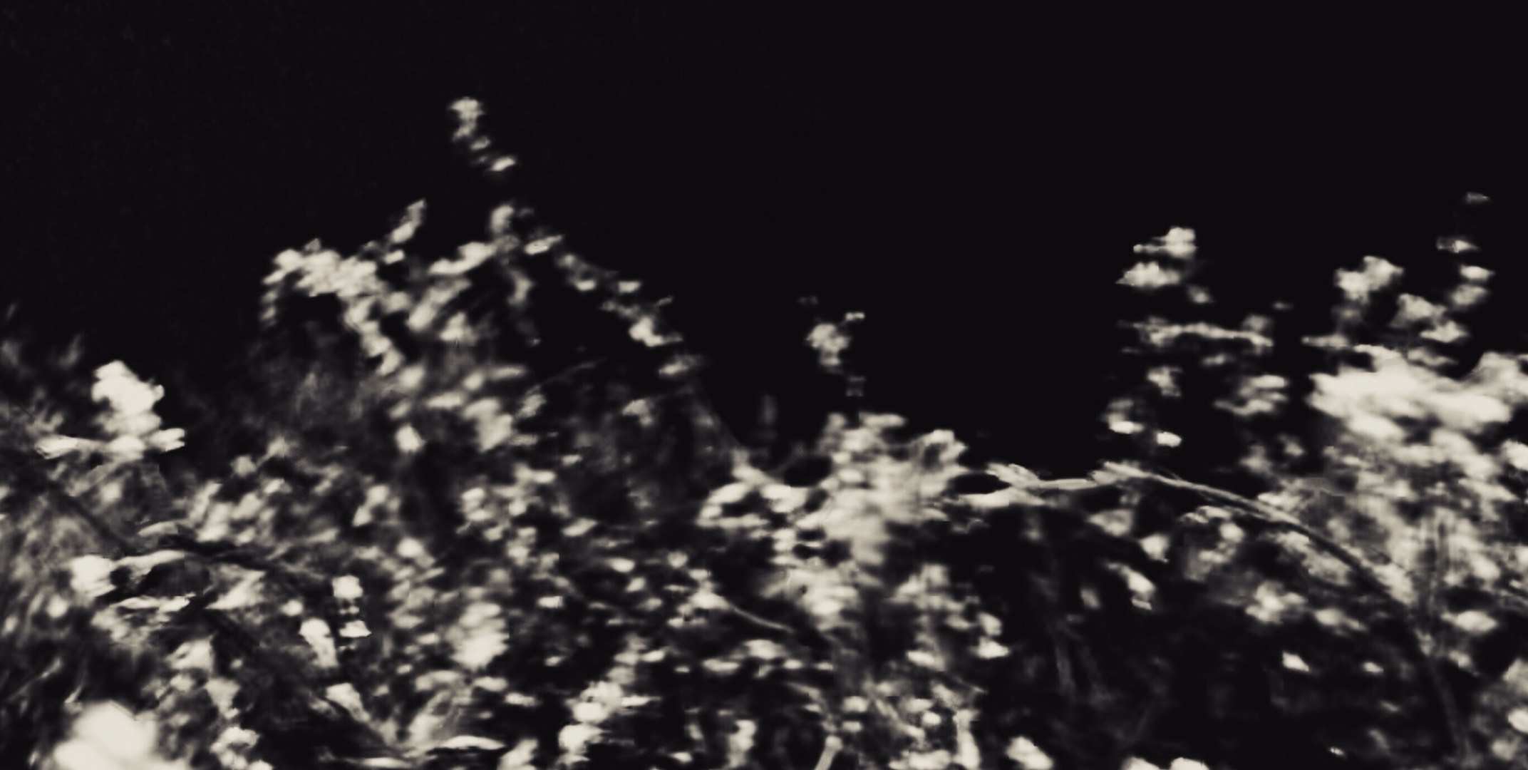 contact Image