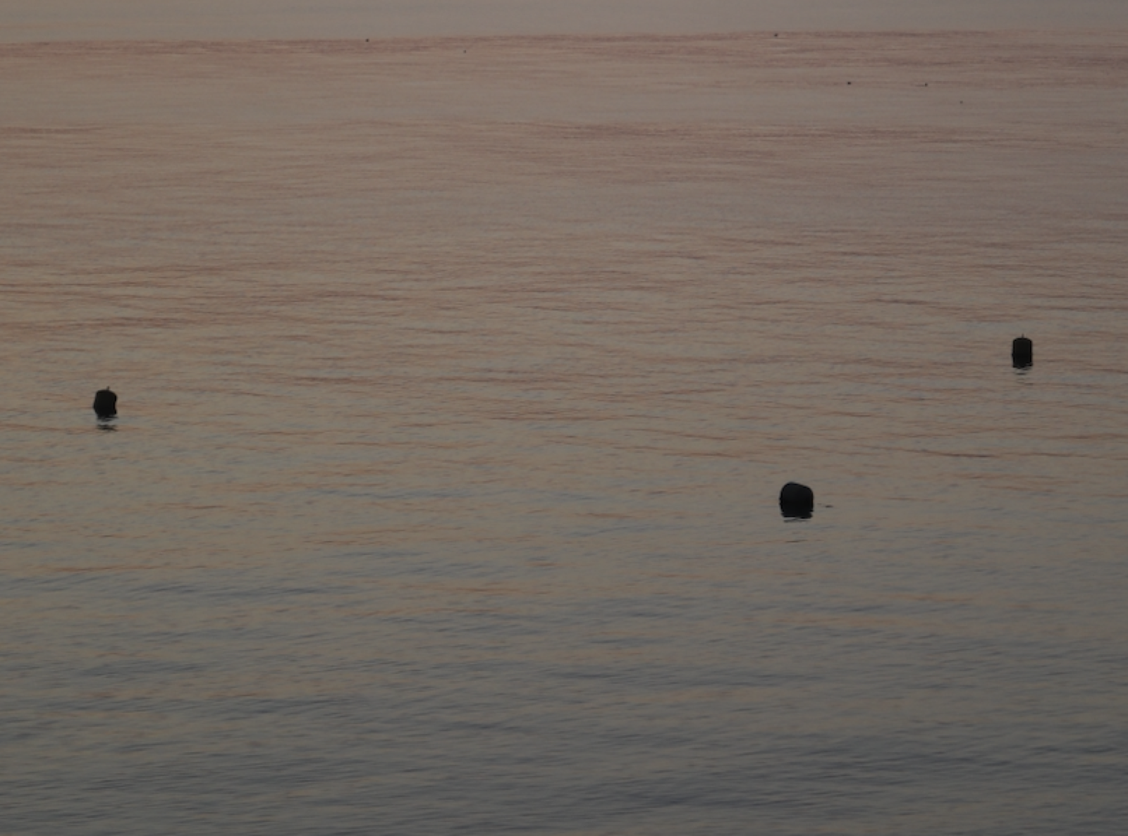 Evening water surface